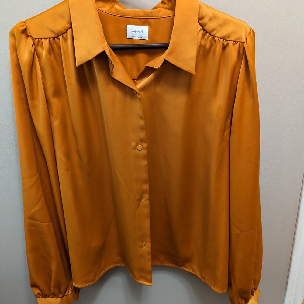 Blouse from Aritzia